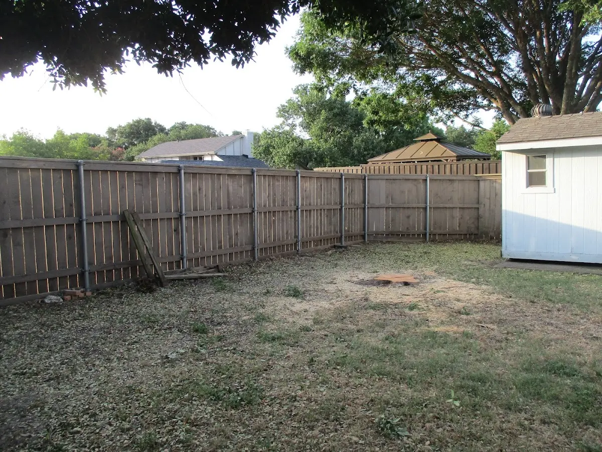 Cleared yard after professional tree removal in Liberty